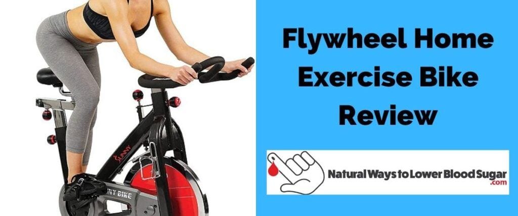 flywheel home bike review